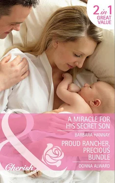 Barbara Hannay A Miracle for His Secret Son / Proud Rancher, Precious Bundle: A Miracle for His Secret Son / Proud Rancher, Precious Bundle