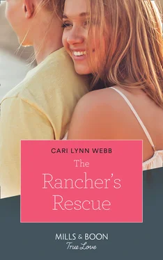 Cari Webb The Rancher's Rescue обложка книги