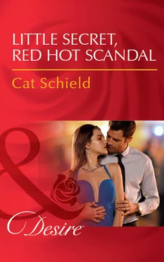 Cat Schield Little Secret, Red Hot Scandal обложка книги