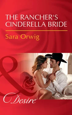 Sara Orwig The Rancher's Cinderella Bride обложка книги