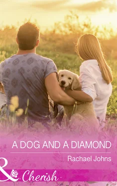 Rachael Johns A Dog And A Diamond обложка книги