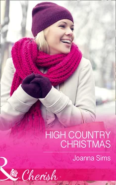 Joanna Sims High Country Christmas обложка книги