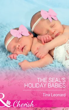 Tina Leonard The SEAL's Holiday Babies обложка книги