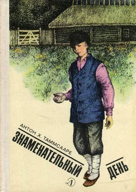 Антон Таммсааре Газетчица номер семнадцать обложка книги
