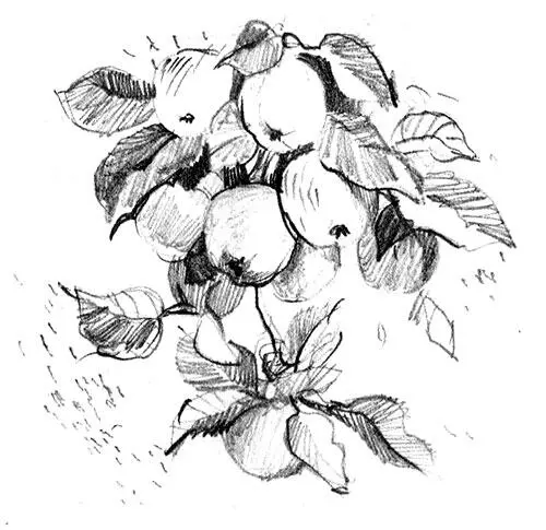 Два красных турника как два родных брата низкий и высокий стояли напротив - фото 18