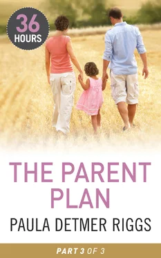 Paula Riggs The Parent Plan Part 3 обложка книги