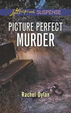 Rachel Dylan Picture Perfect Murder обложка книги