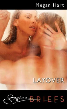 Megan Hart Layover обложка книги