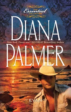 Diana Palmer Evan обложка книги