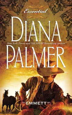 Diana Palmer Emmett обложка книги