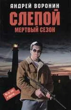 Андрей Воронин Мертвый сезон обложка книги