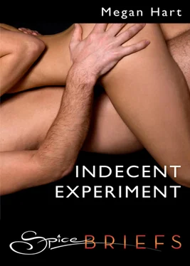 Megan Hart Indecent Experiment обложка книги