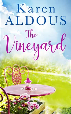 Karen Aldous The Vineyard обложка книги