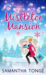 Samantha Tonge - Mistletoe Mansion