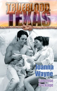 Joanna Wayne Surprise Package обложка книги
