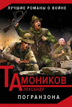 Александр Тамоников Погранзона обложка книги