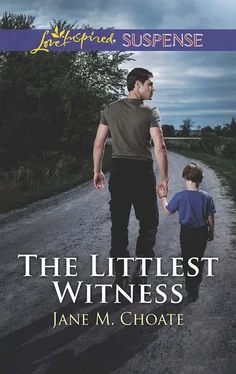 Jane Choate The Littlest Witness обложка книги