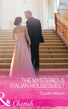 Scarlet Wilson The Mysterious Italian Houseguest обложка книги