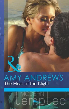Amy Andrews The Heat of the Night обложка книги