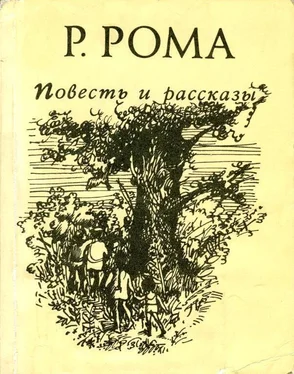 Руфь Рома Повесть и рассказы обложка книги