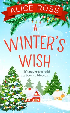 Alice Ross A Winter's Wish обложка книги