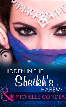 Michelle Conder Hidden In The Sheikh's Harem обложка книги