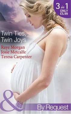 Raye Morgan Twin Ties, Twin Joys: The Boss's Double Trouble Twins / Twins for a Christmas Bride / Baby Twins: Parents Needed обложка книги