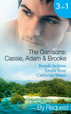 Brenda Jackson The Garrisons: Cassie, Adam & Brooke: Stranded with the Tempting Stranger обложка книги