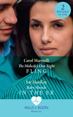 CAROL MARINELLI The Midwife's One-Night Fling: The Midwife's One-Night Fling / Baby Miracle in the ER обложка книги