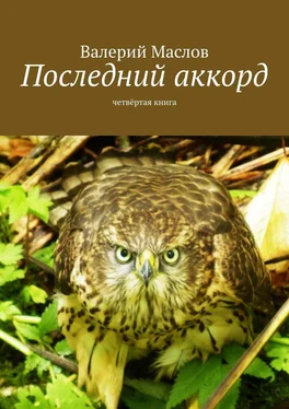 Валерий Маслов Последний аккорд. Четвёртая книга обложка книги