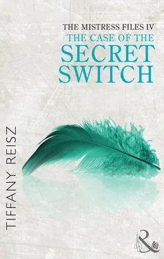 Tiffany Reisz The Mistress Files: The Case of the Secret Switch обложка книги