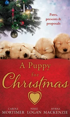 Nikki Logan A Puppy for Christmas: On the Secretary's Christmas List / The Patter of Paws at Christmas / The Soldier, the Puppy and Me обложка книги