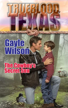 Gayle Wilson The Cowboy's Secret Son обложка книги