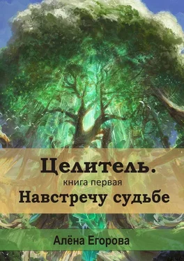 Алена Егорова Целитель. Навстречу судьбе. Книга первая обложка книги