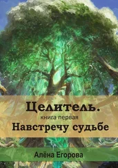 Алена Егорова - Целитель. Навстречу судьбе. Книга первая