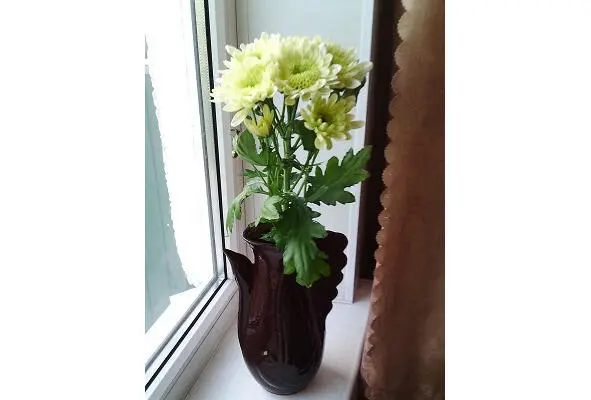 Пока ты живой живи Пока ты живой живи Пока твой приходит день Ты - фото 17