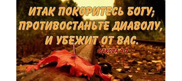 Когда мы думаем С какой же это стати Мы каждый день себя в руках держать - фото 6