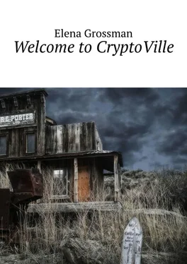 Elena Grossman Welcome to CryptoVille обложка книги