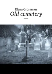 Elena Grossman - Old cemetery. Stories