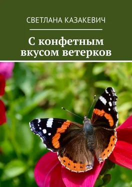 Светлана Казакевич C конфетным вкусом ветерков обложка книги