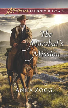 Anna Zogg The Marshal's Mission обложка книги