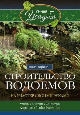 Анна Зорина Строительство водоемов на участке своими руками обложка книги