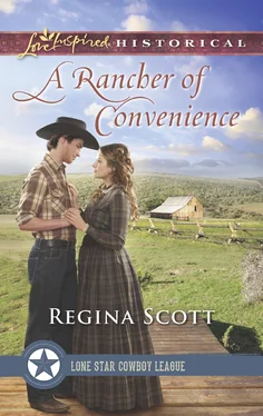 Regina Scott A Rancher Of Convenience обложка книги