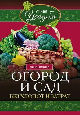 Анна Зорина Огород и сад без хлопот и затрат обложка книги