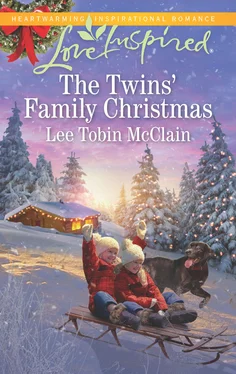 Lee McClain The Twins' Family Christmas обложка книги