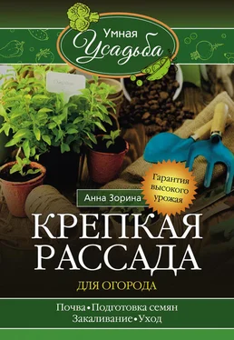 Анна Зорина Крепкая рассада для огорода. Гарантия высокого урожая обложка книги