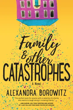 Alexandra Borowitz Family And Other Catastrophes обложка книги