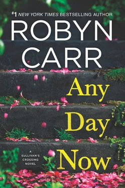 Robyn Carr Any Day Now обложка книги