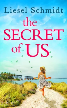 Liesel Schmidt The Secret Of Us обложка книги