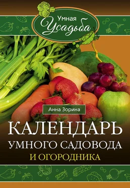 Анна Зорина Календарь умного садовода и огородника обложка книги